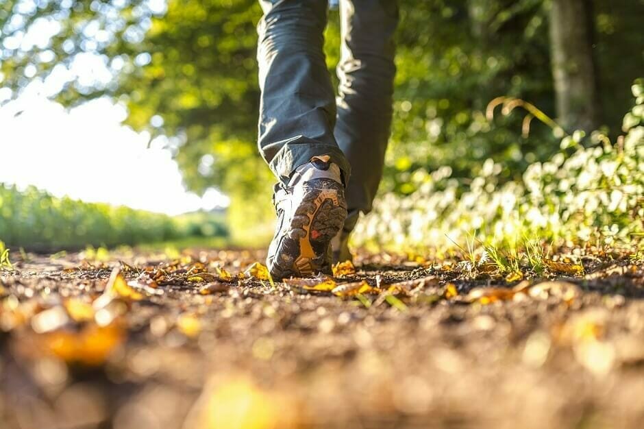 Legs walking down path of leaves among green trees and grass.